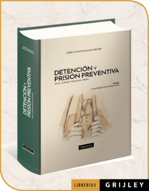Detensión y Prisión Preventiva (1ra Reimpresión)