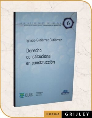 Derecho Constitucional en Construcción