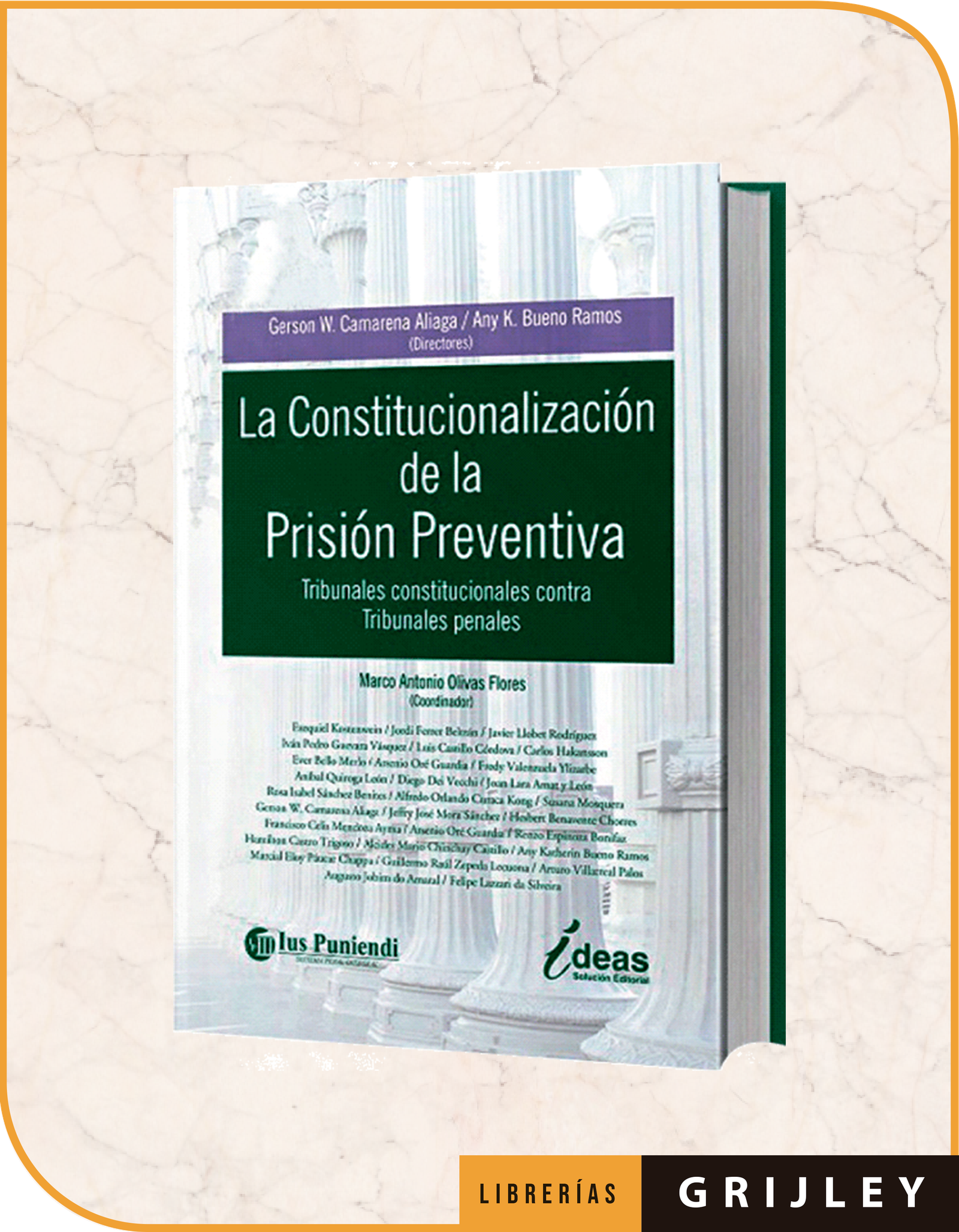 LA CONSTITUCIONALIZACION DE LA PRISION PREVENTIVA