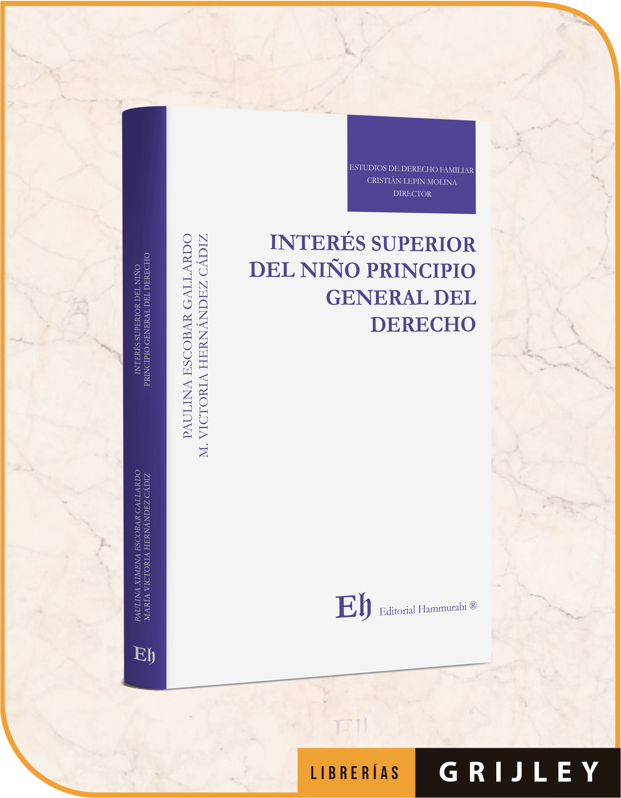 INTERÉS SUPERIOR DEL NIÑO PRINCIPIO GENERAL DEL DERECHO