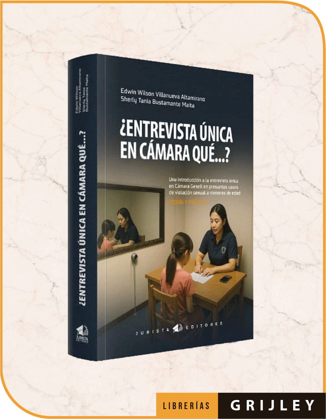 ¿ Entrevista única en Cámara Qué…? Una introducción a la entrevista única en Cámara Gesell- Teoría y práctica