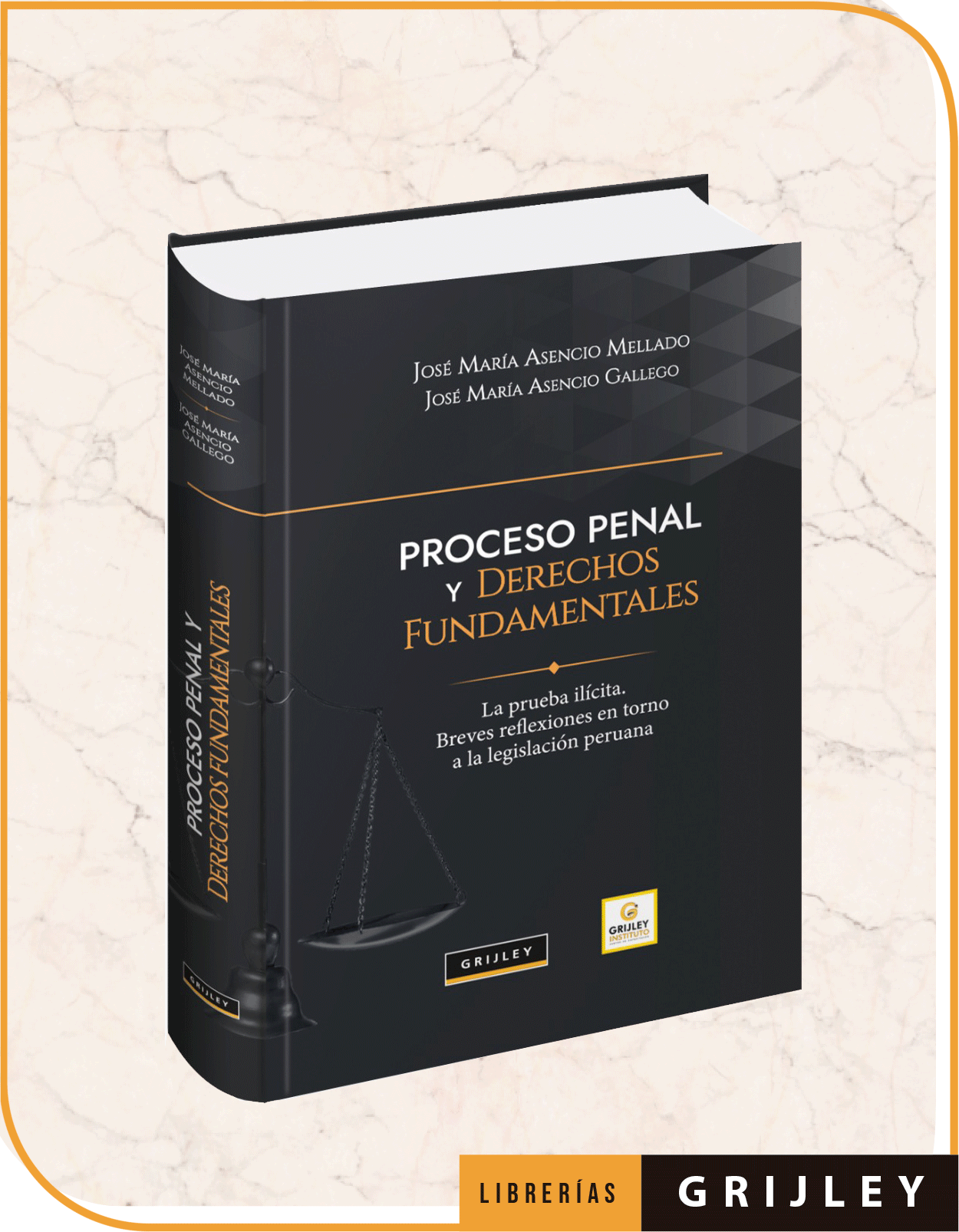 Proceso penal y derechos fundamentales