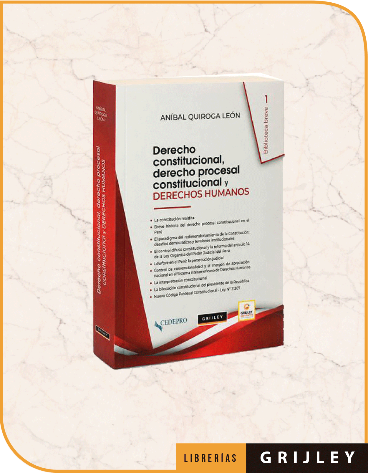 Derecho constitucional, derecho procesal constitucional y derechos humanos.