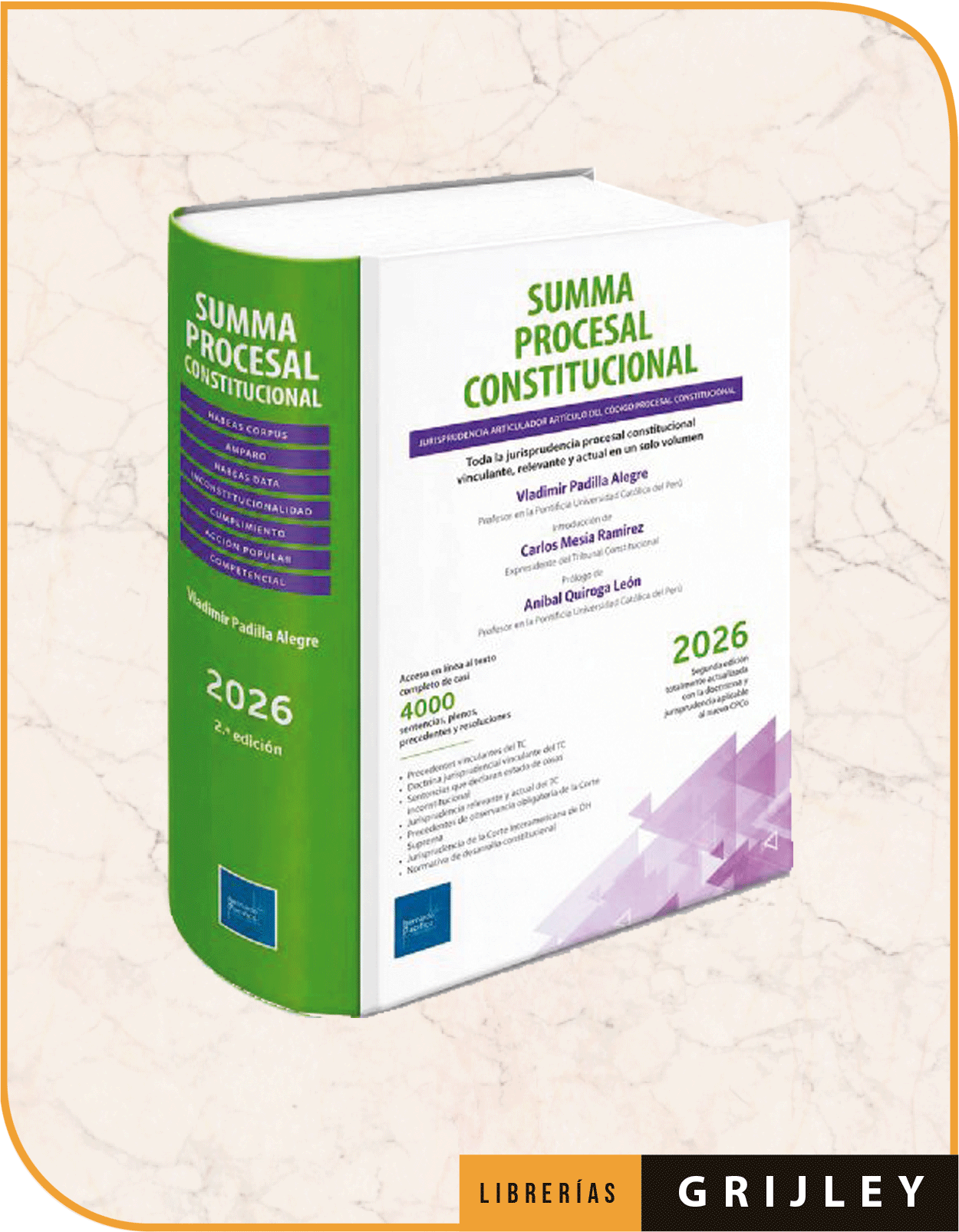Summa procesal constitucional 2026